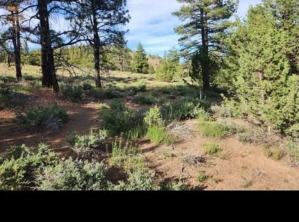 Cheney Creek Rd, Susanville, CA 96130 Photo