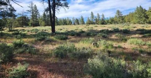 Cheney Creek Rd, Susanville, CA 96130 Photo