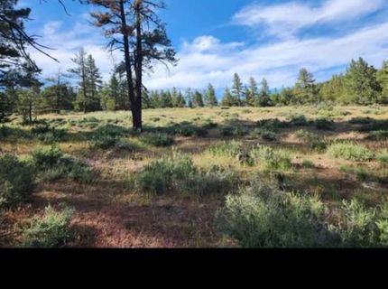 Cheney Creek Rd, Susanville, CA 96130 Photo