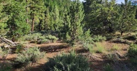 Cheney Creek Rd, Susanville, CA 96130 Photo