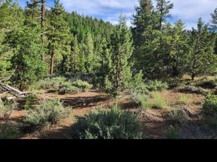 Cheney Creek Rd, Susanville, CA 96130 Photo