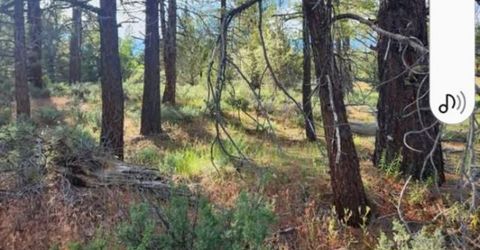 Cheney Creek Rd, Susanville, CA 96130 Photo