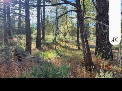 Cheney Creek Rd, Susanville, CA 96130 Photo