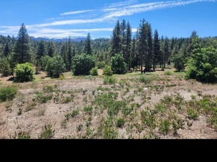 Cheney Creek Rd, Susanville, CA 96130 Photo