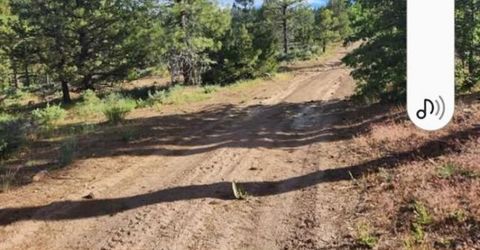 Cheney Creek Rd, Susanville, CA 96130 Photo