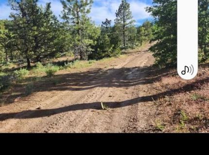 Cheney Creek Rd, Susanville, CA 96130 Photo