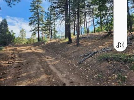 Cheney Creek Rd, Susanville, CA 96130 Photo