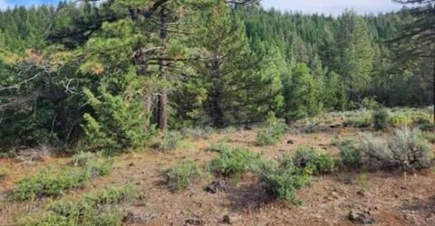 Cheney Creek Rd, Susanville, CA 96130 Photo
