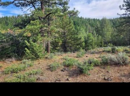 Cheney Creek Rd, Susanville, CA 96130 Photo
