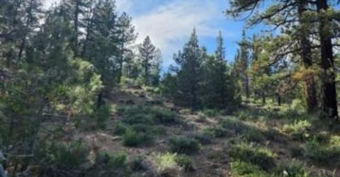 Cheney Creek Rd, Susanville, CA 96130 Photo