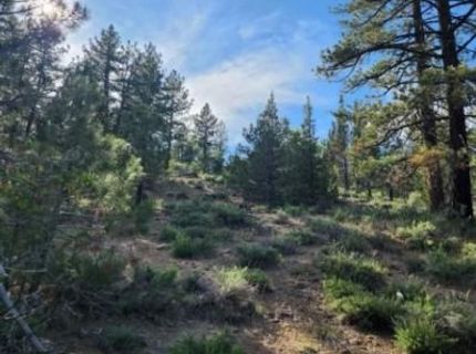 Cheney Creek Rd, Susanville, CA 96130 Photo