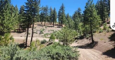 Cheney Creek Rd, Susanville, CA 96130 Photo
