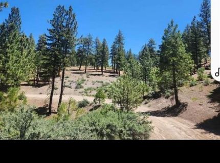 Cheney Creek Rd, Susanville, CA 96130 Photo