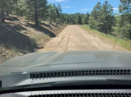 Cheney Creek Rd, Susanville, CA 96130 Photo