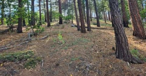 Cheney Creek Rd, Susanville, CA 96130 Photo