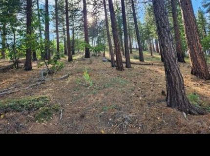 Cheney Creek Rd, Susanville, CA 96130 Photo
