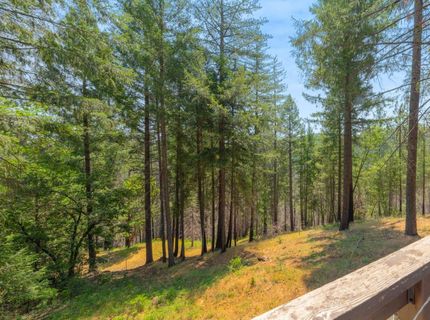 5229 Mary Ct, Pollock Pines, CA 95726 Photo