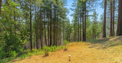 5229 Mary Ct, Pollock Pines, CA 95726 Photo