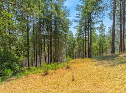 5229 Mary Ct, Pollock Pines, CA 95726 Photo