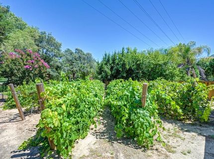 8614 Ashbury Ct, Roseville, CA 95747 Photo