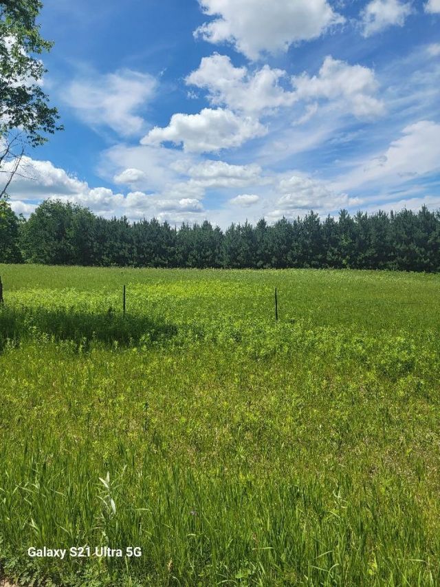 145th 145th , Eagle Bend, MN 56446