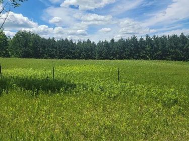 TBD 145th, Eagle Bend, MN 56446
