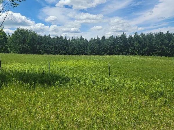TBD 145th, Eagle Bend, MN 56446