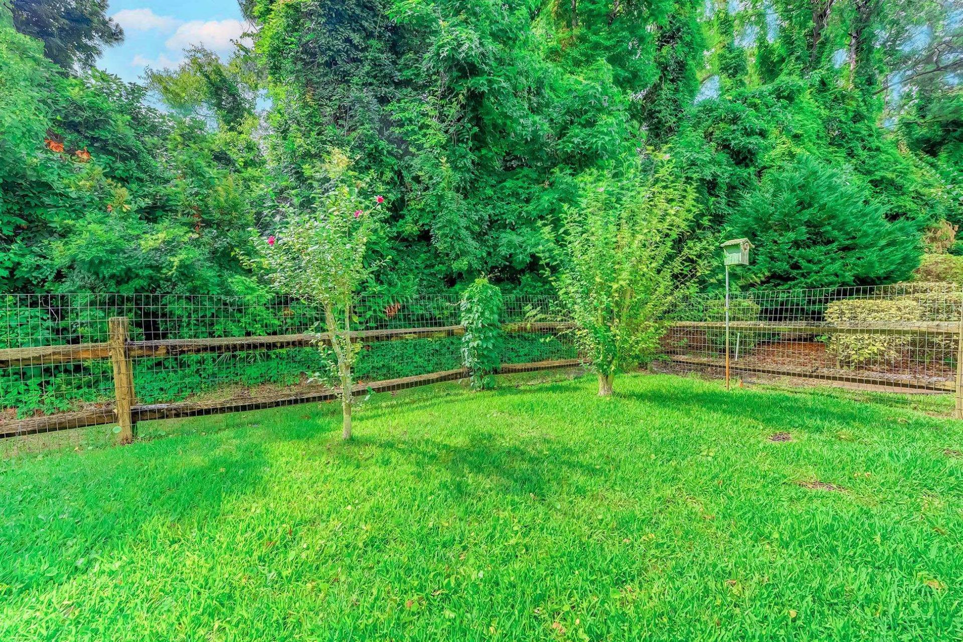 1108 Fox Sparrow Dr. Photo 48