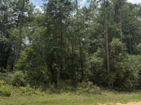 0 Forest Glen Drive , Fountain, FL 32438