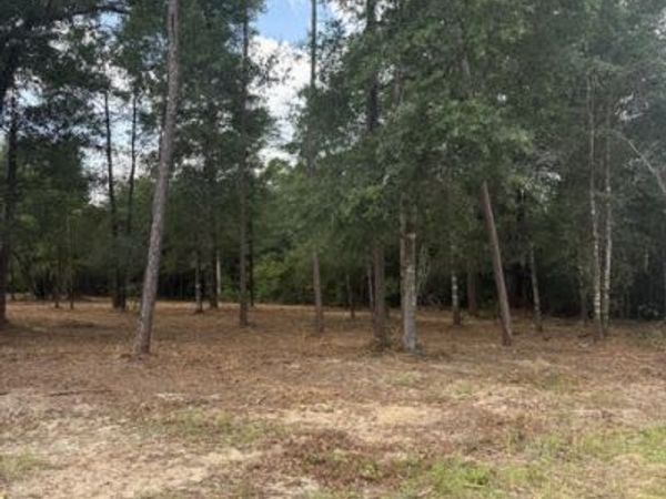 0 Forest Glen Drive, Fountain, FL 32438