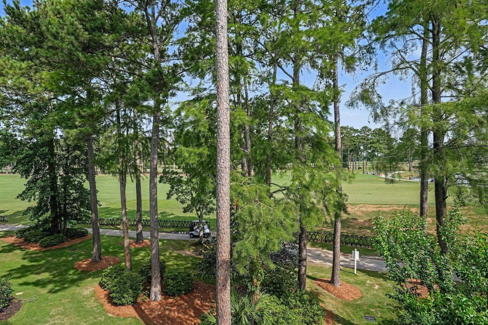 104 Cypress Point Ct.  Photo 28