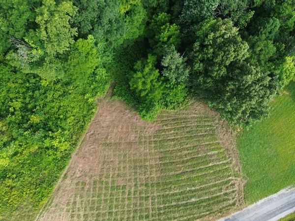 0 Summer Breeze Dr Lot 12, Smithville, TN 37166