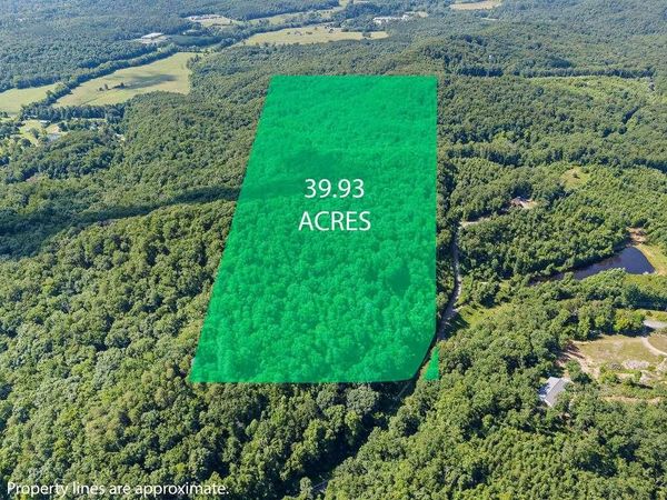 0 Shinbone Ridge Road, La Fayette, GA 30728