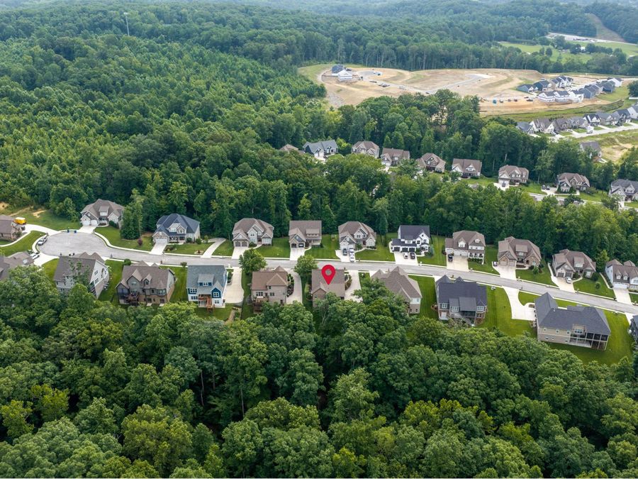 Property Image 65