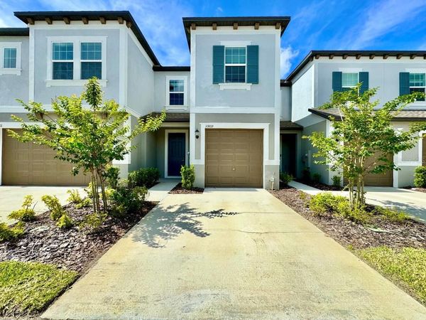 10809 FOWLERS BLUFF COURT , TAMPA, FL 33647
