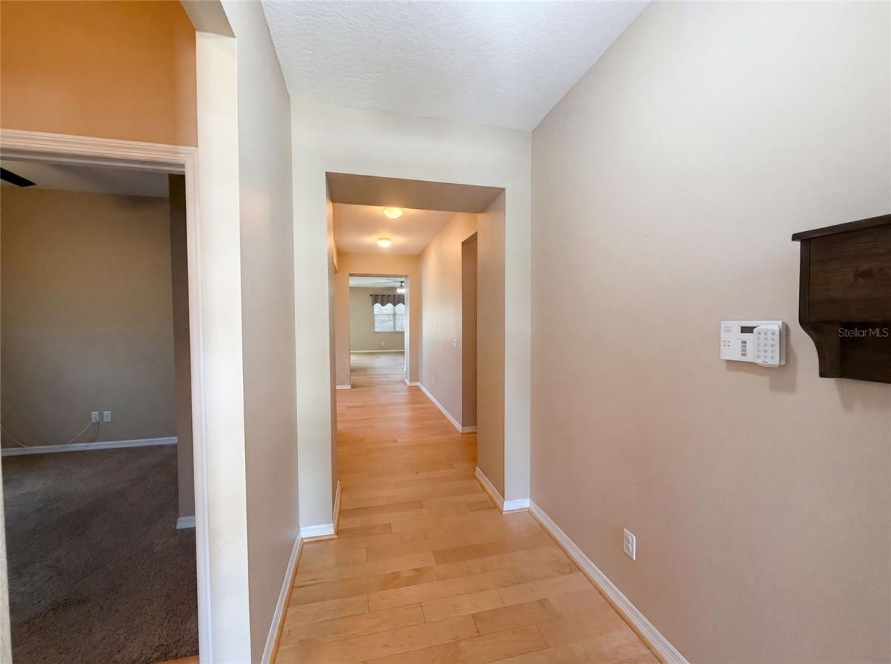 5605 Windsong Oak Drive, Leesburg, FL 34748 Photo