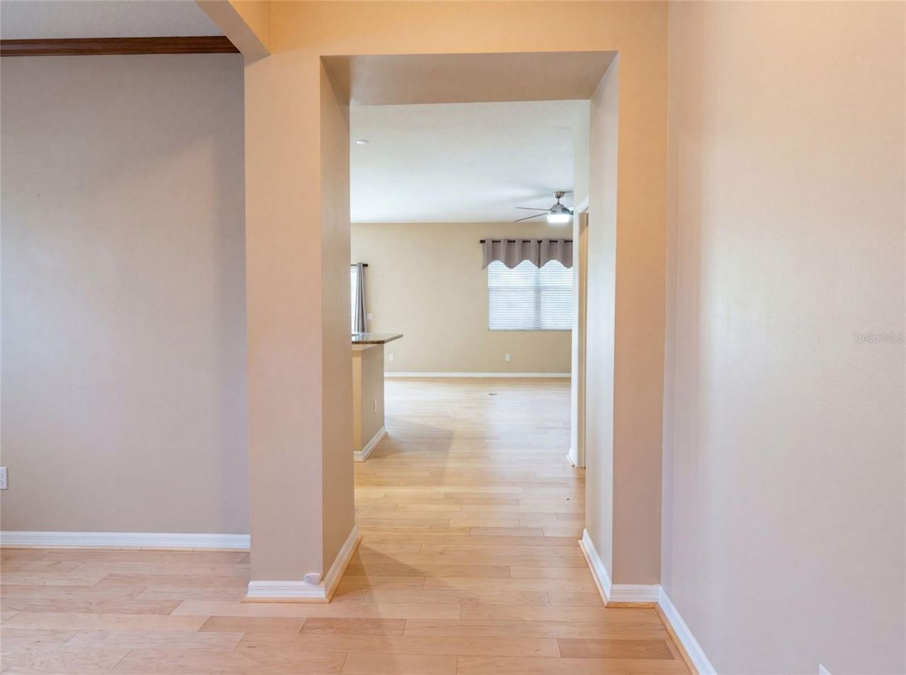 5605 Windsong Oak Drive, Leesburg, FL 34748 Photo