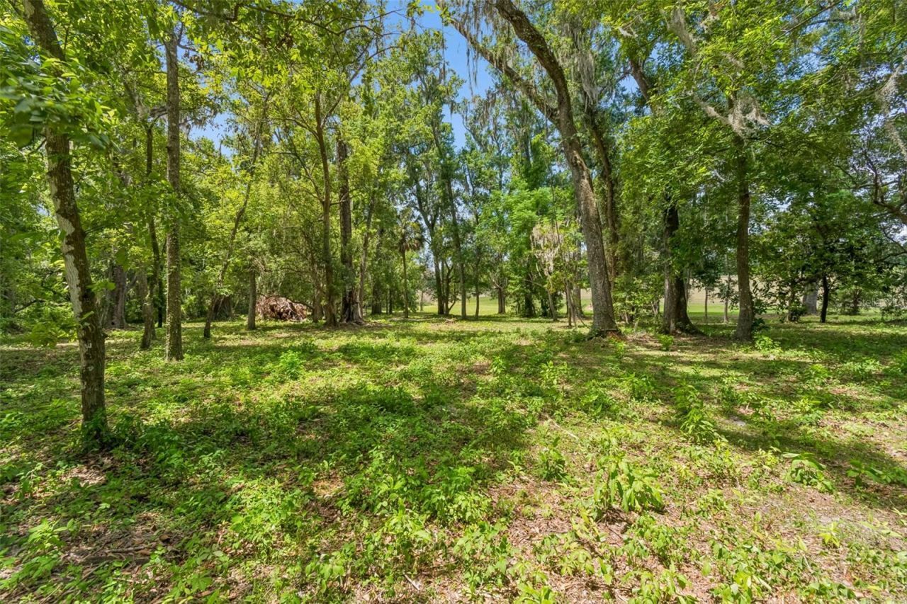 17345 Sweetwater Road, Dade City, FL 33523 Photo
