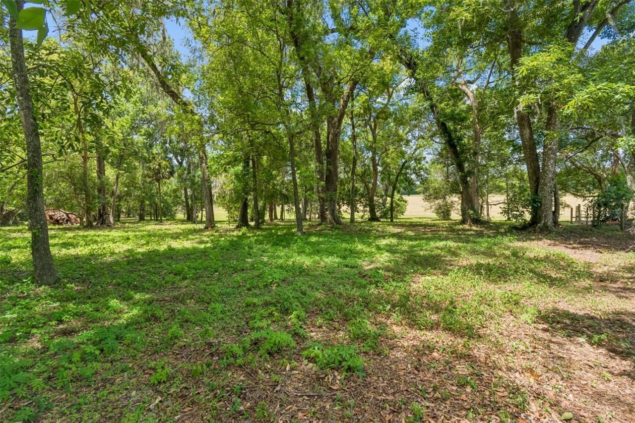17345 Sweetwater Road, Dade City, FL 33523 Photo