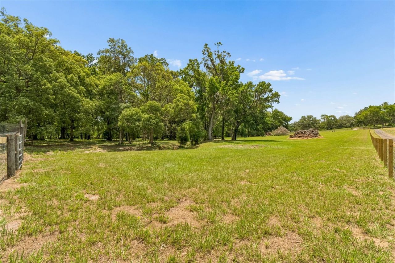 17345 Sweetwater Road, Dade City, FL 33523 Photo