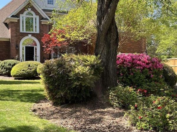 10300 Lady Grace Lane, Charlotte, NC 28270