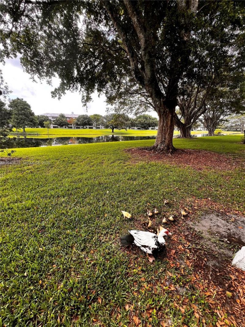 9235 Lagoon Pl , Unit 109, Davie, FL 33324 Photo