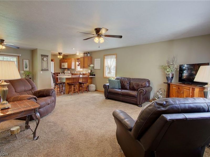 14157 Lisbon Street NE, Paris, OH 44669 Photo 5