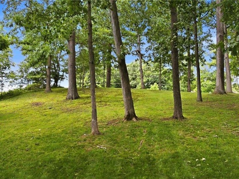 2926 State Route 430, Mansfield, OH 44903 Photo 37