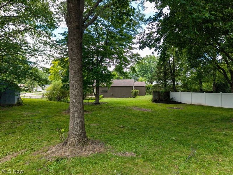 478 Bicksler Drive, Wadsworth, OH 44281 Photo 29