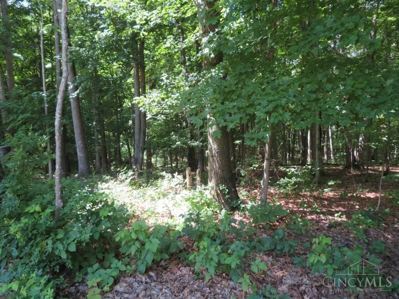 459 Greenbrier Road, Seaman, OH 45679 Photo 55