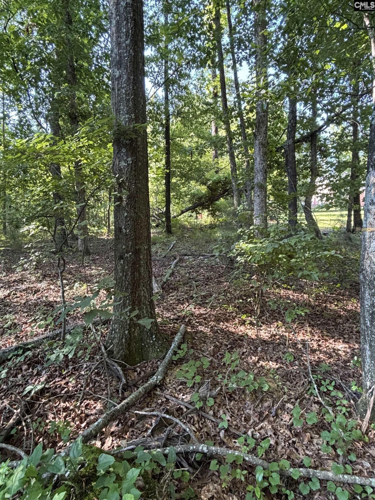 320 Oakhurst Place Photo 12