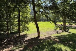 320 Oakhurst Place photo 4
