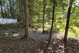 320 Oakhurst Place photo 4