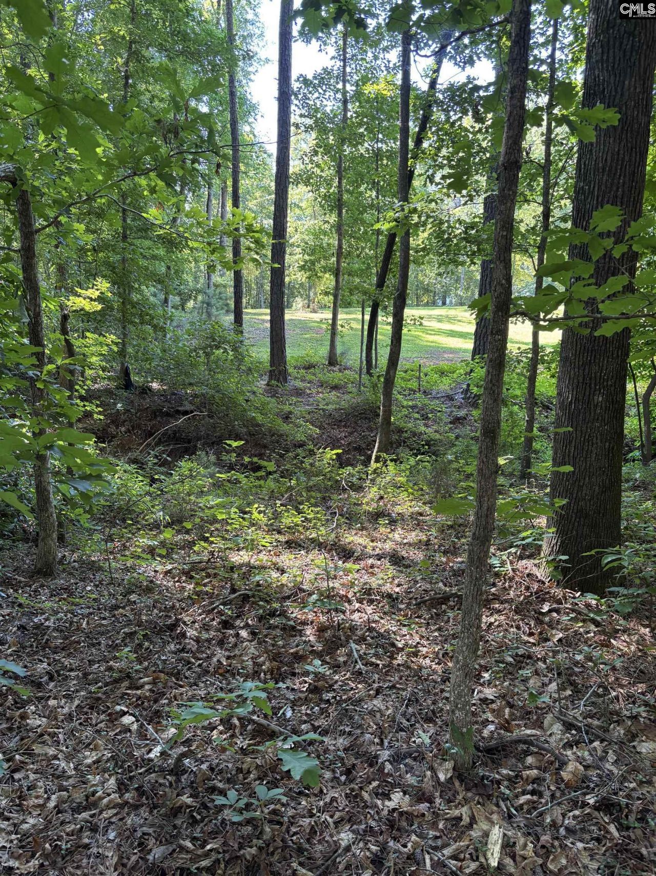 320 Oakhurst Place Photo 8